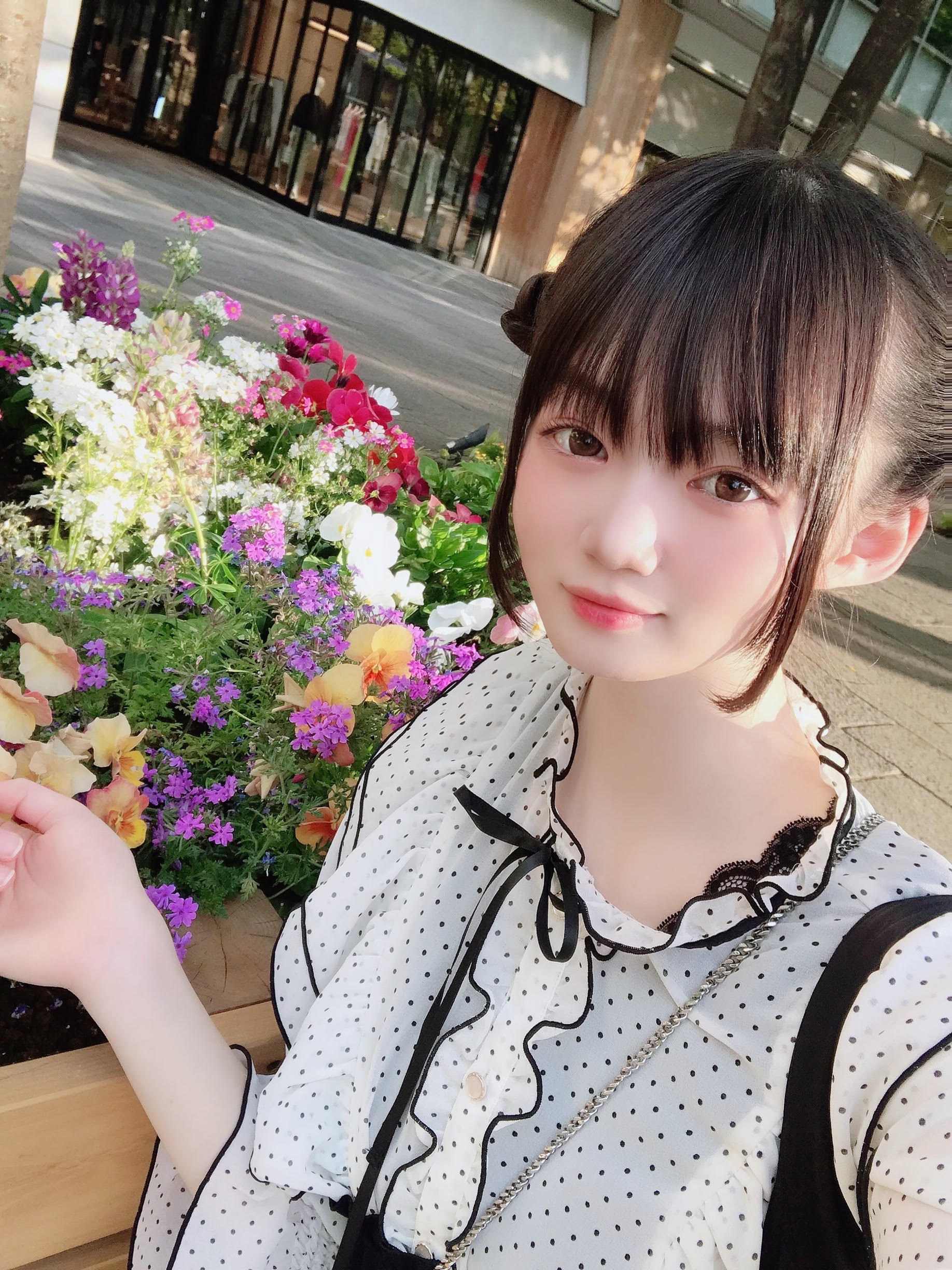 碧月すい